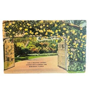 Vintage Linen Postcard Miami Beach Florida‎ Gateway Covered in Alamanda Vine